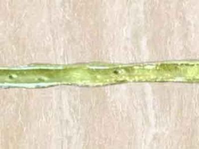 美縫劑有什么牌子好？用在家庭裝飾，該怎么選擇？