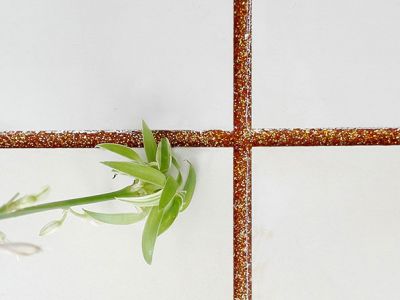 真瓷膠怎么區(qū)別優(yōu)質(zhì)和劣質(zhì)？